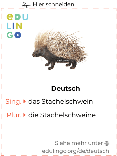 Stachelschwein auf Deutsch Vokabelkartei zum Ausdrucken, Üben und Lernen