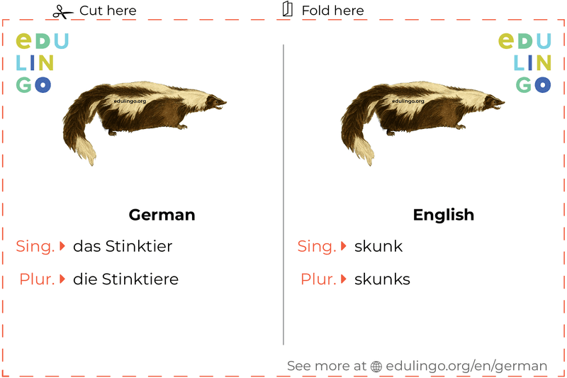 Skunk in German vocabulary flashcard for printing, practicing and learning