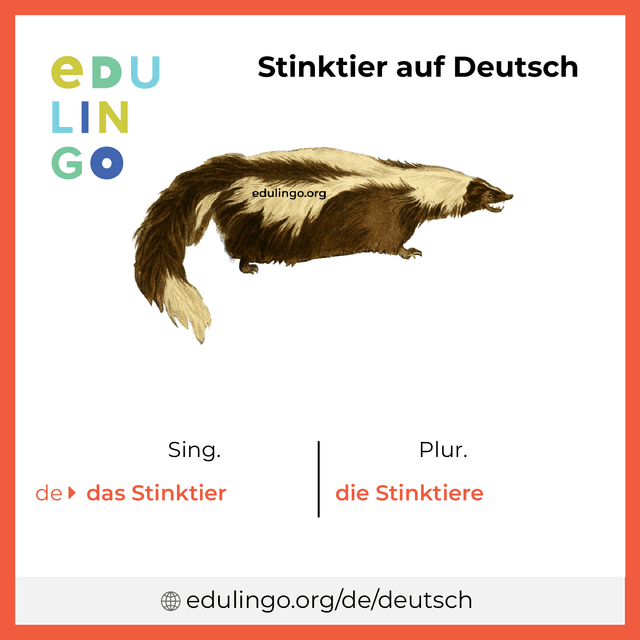Stinktier auf Deutsch Vokabelbild mit Singular und Plural zum Herunterladen und Ausdrucken