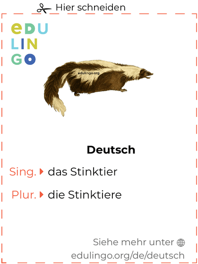 Stinktier auf Deutsch Vokabelkartei zum Ausdrucken, Üben und Lernen