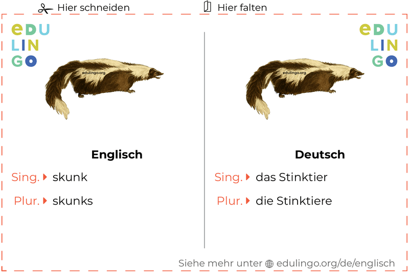 Stinktier auf Englisch Vokabelkartei zum Ausdrucken, Üben und Lernen