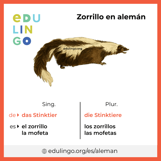 Imagen de vocabulario Zorrillo en alemán con singular y plural para descargar e imprimir