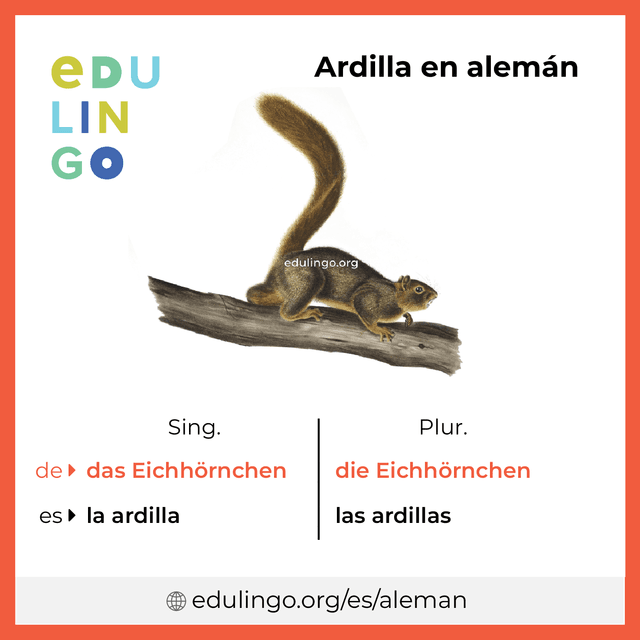 Imagen de vocabulario Ardilla en alemán con singular y plural para descargar e imprimir