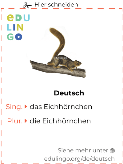 Eichhörnchen auf Deutsch Vokabelkartei zum Ausdrucken, Üben und Lernen
