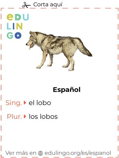 Ficha de Vocabulario Lobo en español para imprimir, practicar y aprender