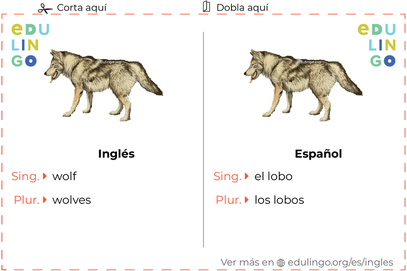 Ficha de Vocabulario Lobo en inglés para imprimir, practicar y aprender
