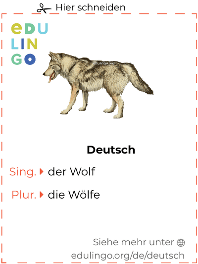 Wolf auf Deutsch Vokabelkartei zum Ausdrucken, Üben und Lernen