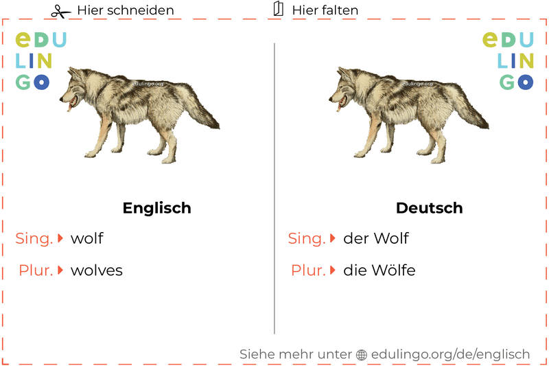 Wolf auf Englisch Vokabelkartei zum Ausdrucken, Üben und Lernen