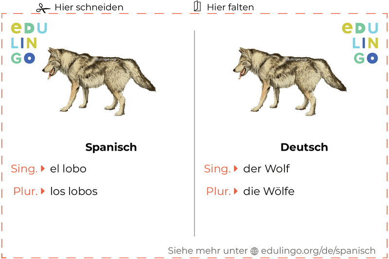 Wolf auf Spanisch Vokabelkartei zum Ausdrucken, Üben und Lernen
