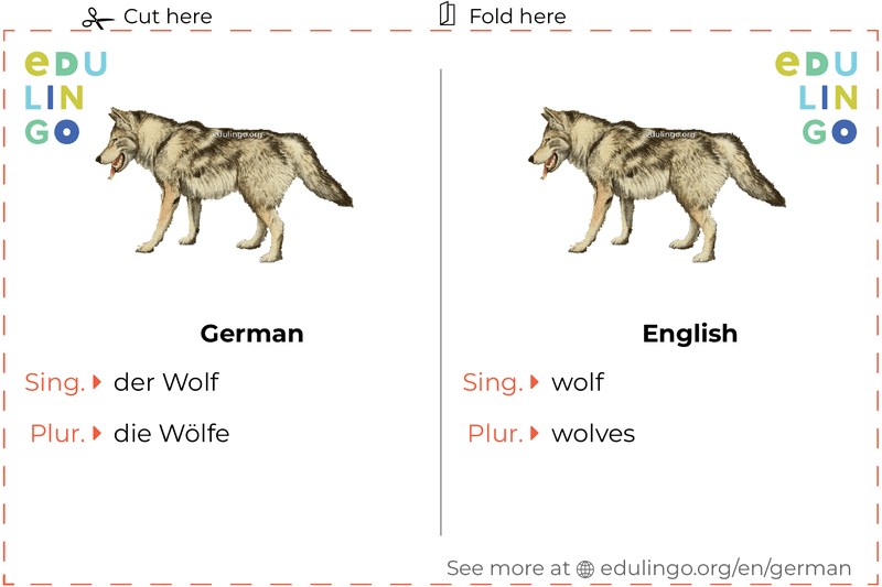 Wolf in German vocabulary flashcard for printing, practicing and learning