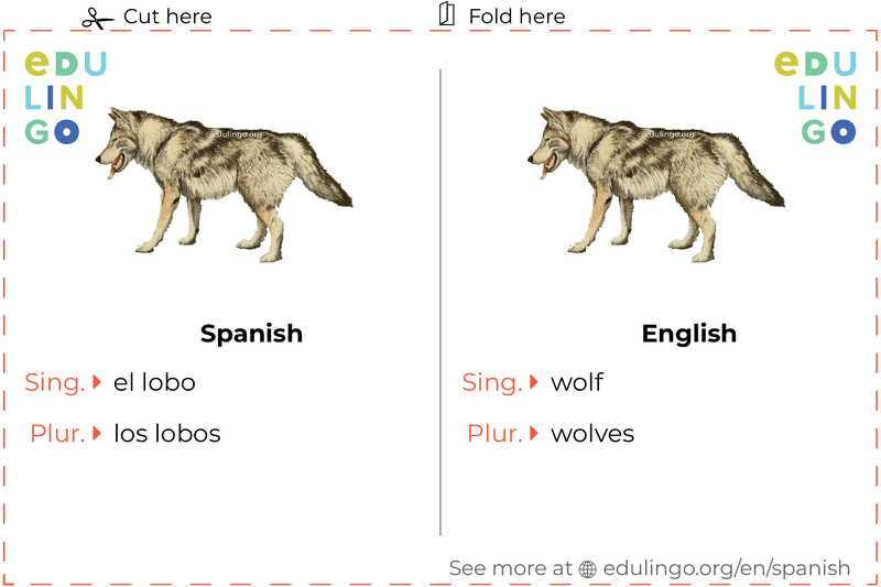 Wolf in Spanish vocabulary flashcard for printing, practicing and learning