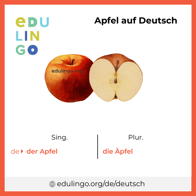 Apfel auf Deutsch Vokabelbild mit Singular und Plural zum Herunterladen und Ausdrucken
