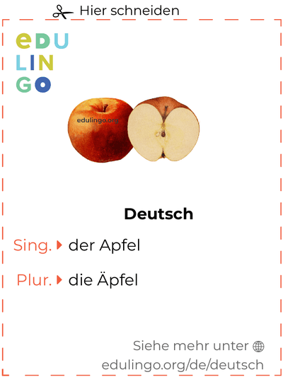 Apfel auf Deutsch Vokabelkartei zum Ausdrucken, Üben und Lernen