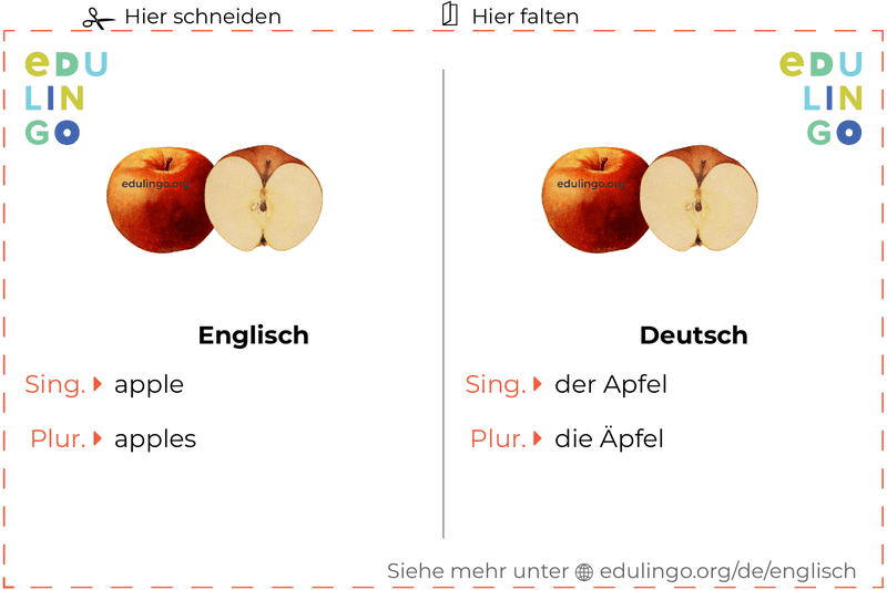 Apfel auf Englisch Vokabelkartei zum Ausdrucken, Üben und Lernen