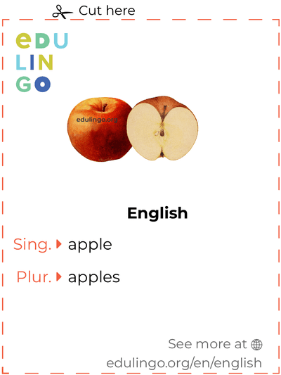 Apple in English vocabulary flashcard for printing, practicing and learning