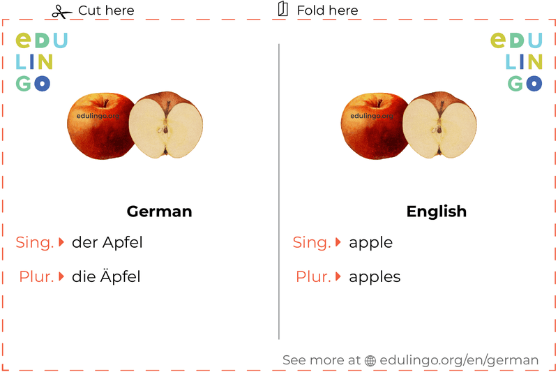 Apple in German vocabulary flashcard for printing, practicing and learning