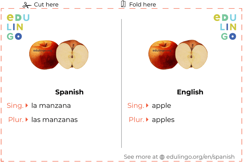 Apple in Spanish vocabulary flashcard for printing, practicing and learning
