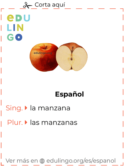 Ficha de Vocabulario Manzana en español para imprimir, practicar y aprender