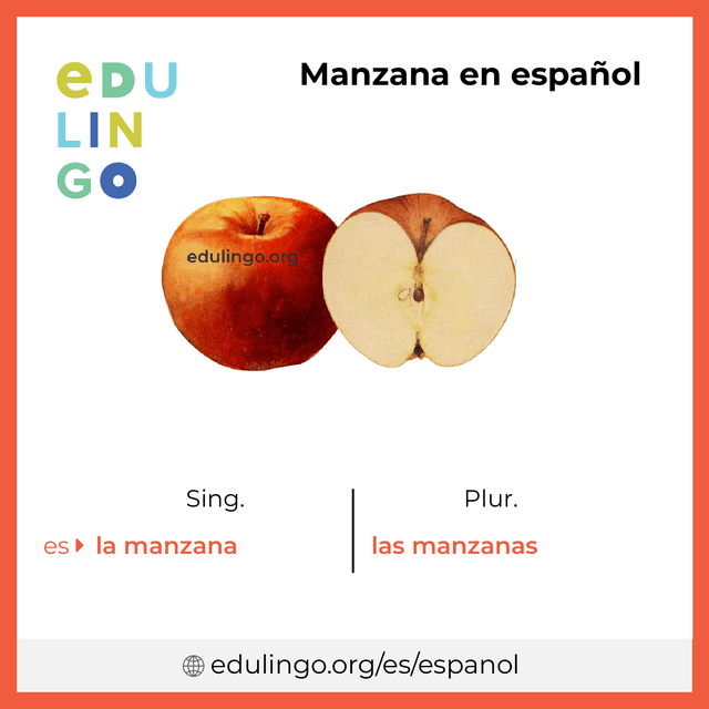 Imagen de vocabulario Manzana en español con singular y plural para descargar e imprimir