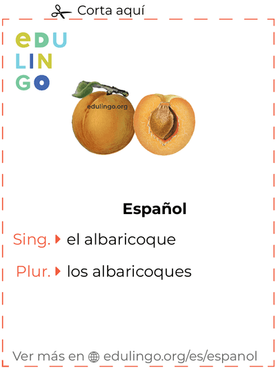 Ficha de Vocabulario Albaricoque en español para imprimir, practicar y aprender