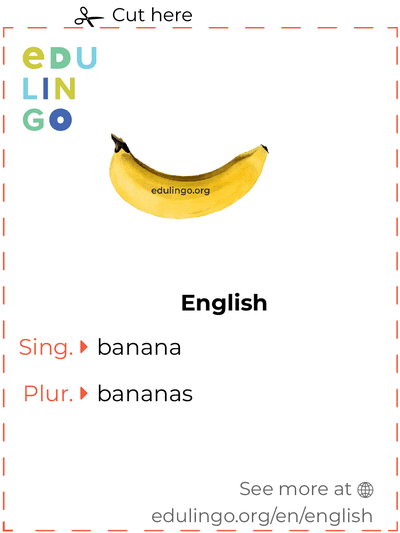 Banana in English vocabulary flashcard for printing, practicing and learning