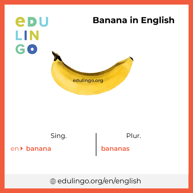 Banana in English vocabulary picture with singular and plural for download and printing