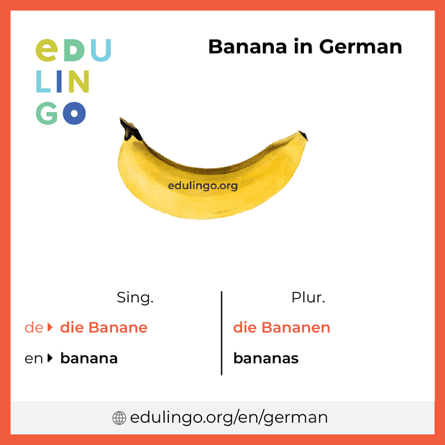 Banana in German vocabulary picture with singular and plural for download and printing