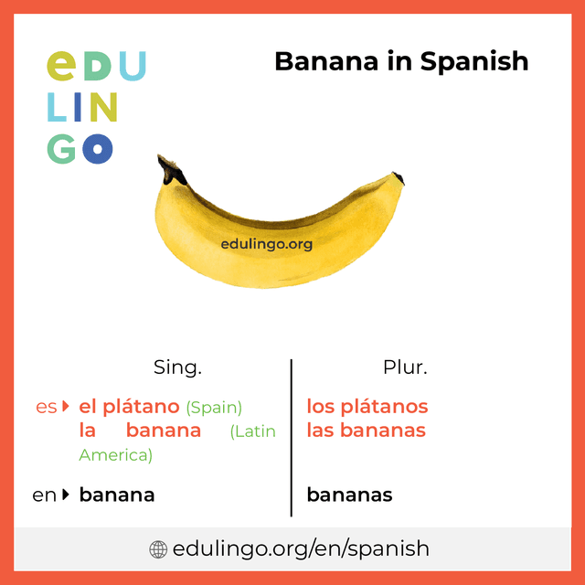 Banana in Spanish vocabulary picture with singular and plural for download and printing