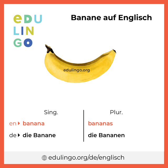 Banane auf Englisch Vokabelbild mit Singular und Plural zum Herunterladen und Ausdrucken