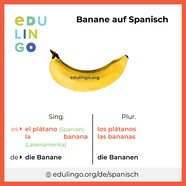 Banane auf Spanisch Vokabelbild mit Singular und Plural zum Herunterladen und Ausdrucken