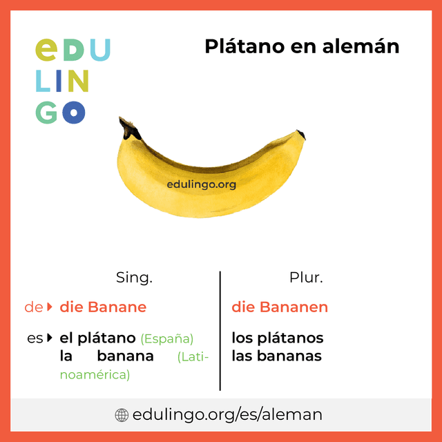Imagen de vocabulario Plátano en alemán con singular y plural para descargar e imprimir