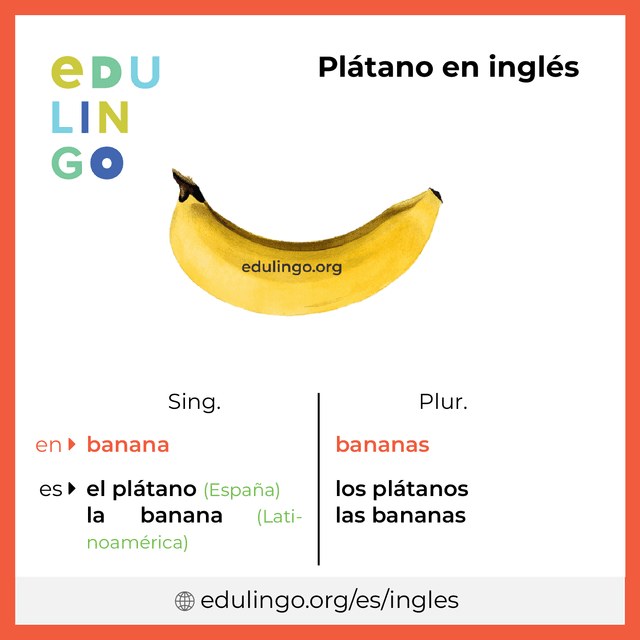 Imagen de vocabulario Plátano en inglés con singular y plural para descargar e imprimir