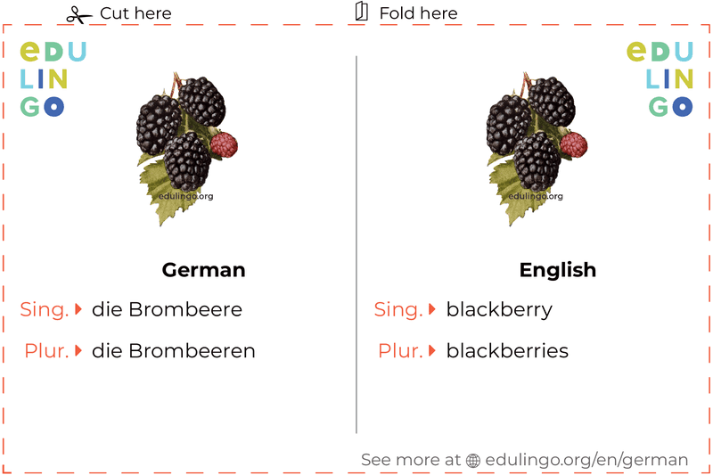 Blackberry in German vocabulary flashcard for printing, practicing and learning