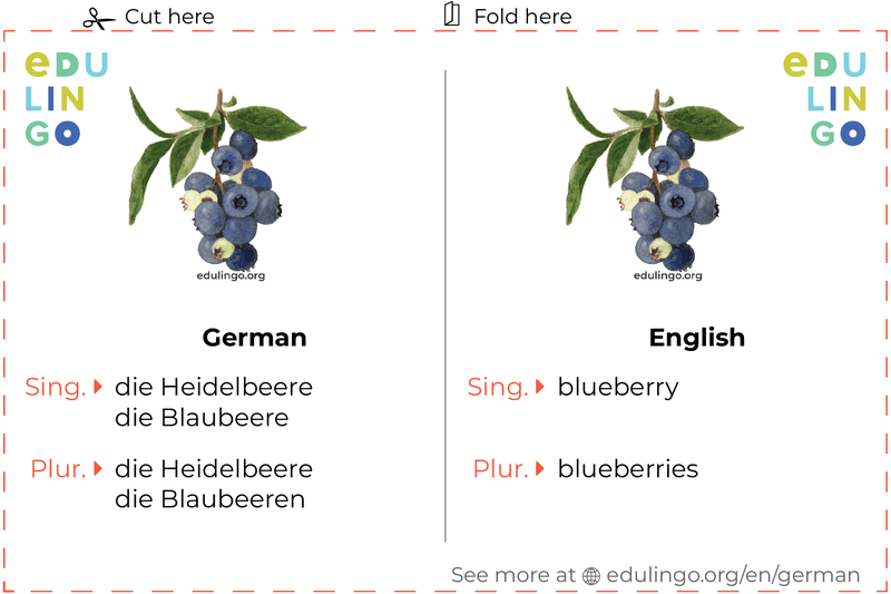 Blueberry in German vocabulary flashcard for printing, practicing and learning