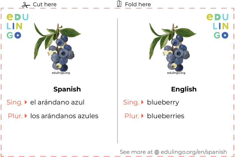 Blueberry in Spanish vocabulary flashcard for printing, practicing and learning