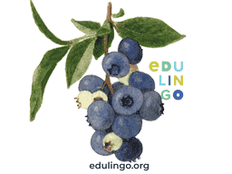 Thumbnail: Blueberry in Spanish