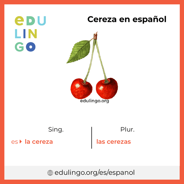 Imagen de vocabulario Cereza en español con singular y plural para descargar e imprimir