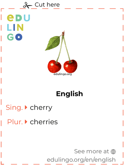 Cherry in English vocabulary flashcard for printing, practicing and learning