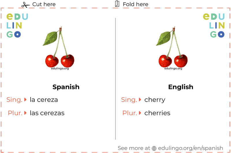 Cherry in Spanish vocabulary flashcard for printing, practicing and learning