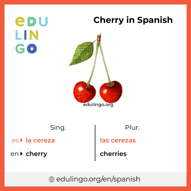 Cherry in Spanish vocabulary picture with singular and plural for download and printing