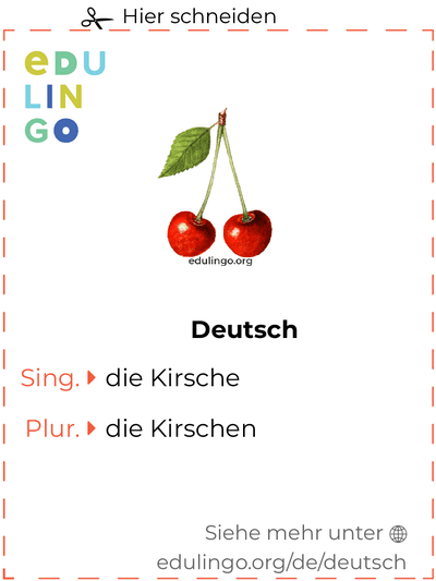 Kirsche auf Deutsch Vokabelkartei zum Ausdrucken, Üben und Lernen