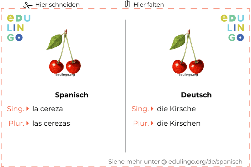 Kirsche auf Spanisch Vokabelkartei zum Ausdrucken, Üben und Lernen