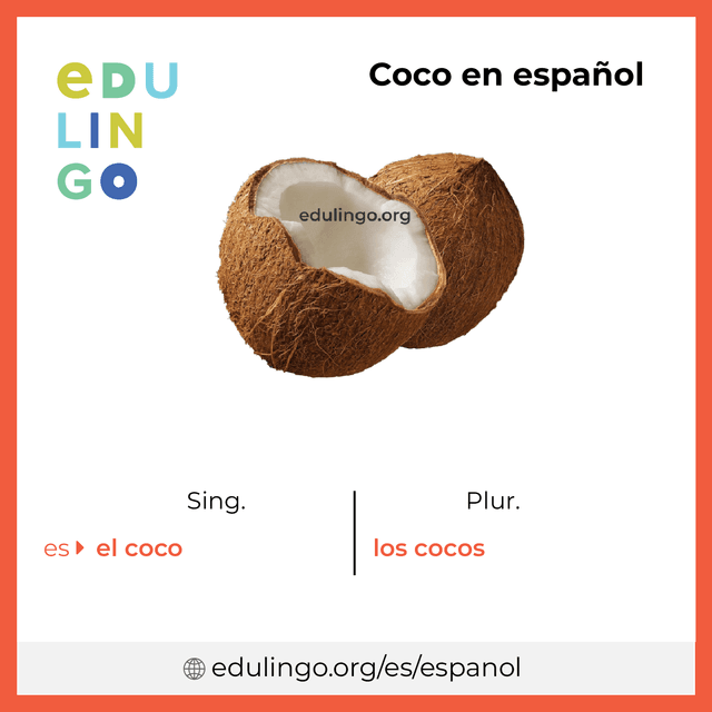 Imagen de vocabulario Coco en español con singular y plural para descargar e imprimir