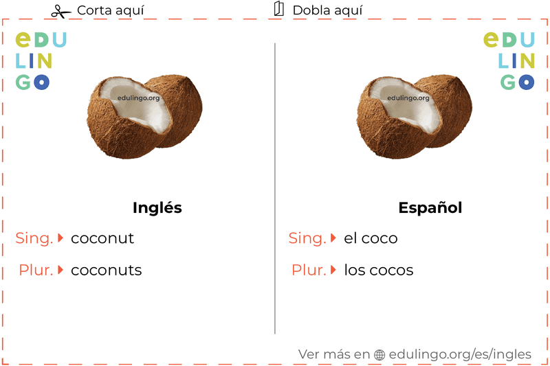 Ficha de Vocabulario Coco en inglés para imprimir, practicar y aprender