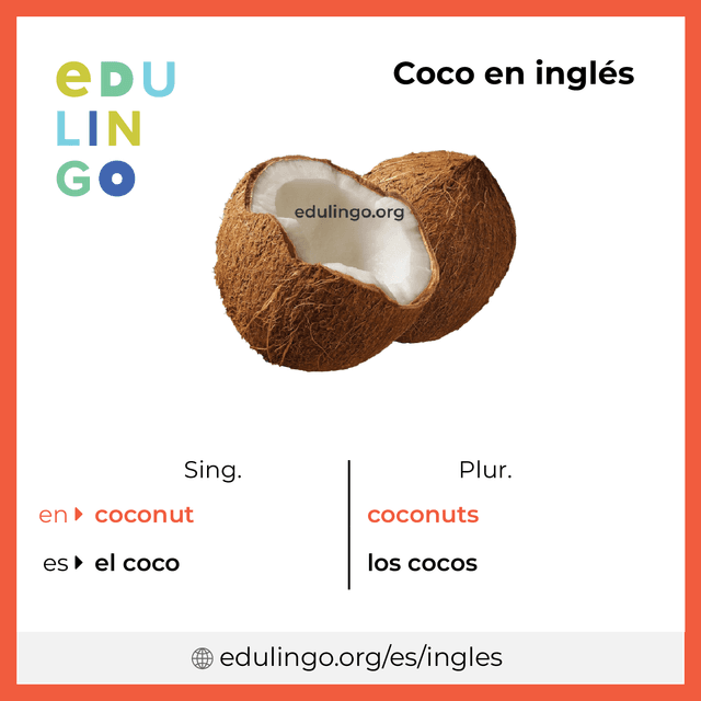Imagen de vocabulario Coco en inglés con singular y plural para descargar e imprimir