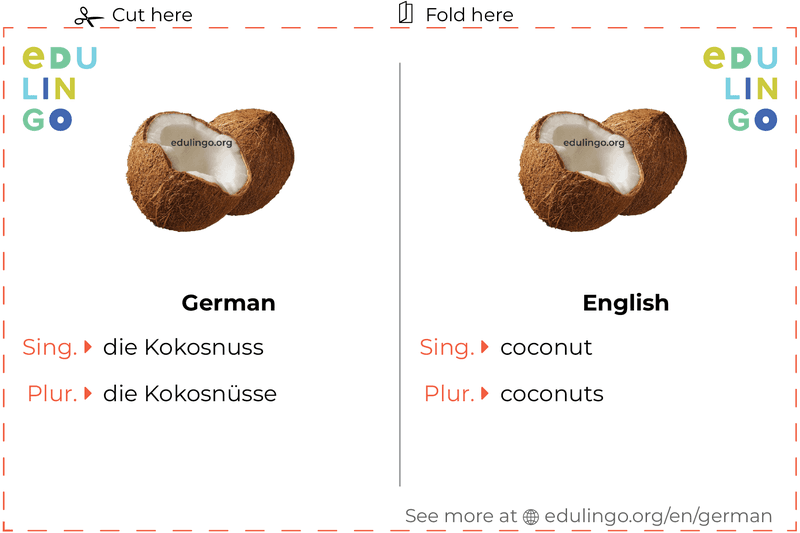 Coconut in German vocabulary flashcard for printing, practicing and learning