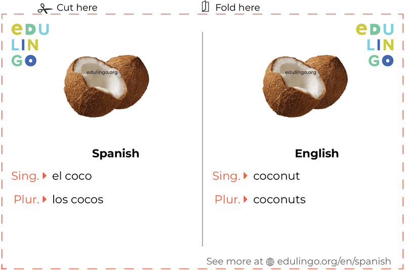 Coconut in Spanish vocabulary flashcard for printing, practicing and learning