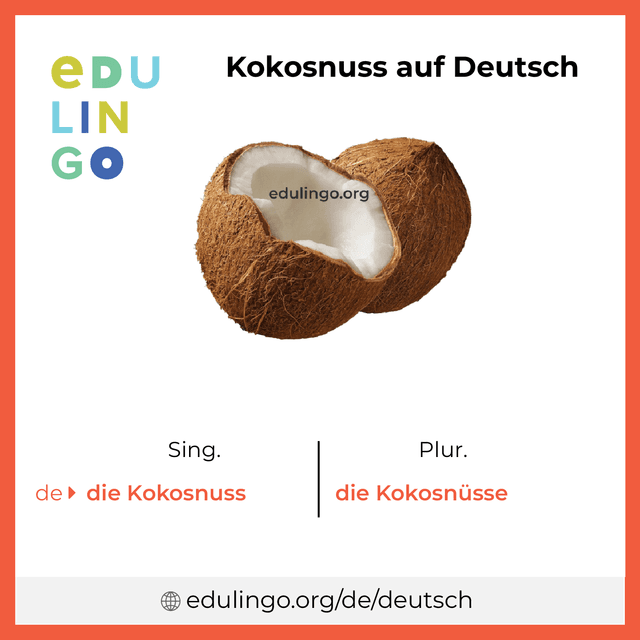 Kokosnuss auf Deutsch Vokabelbild mit Singular und Plural zum Herunterladen und Ausdrucken