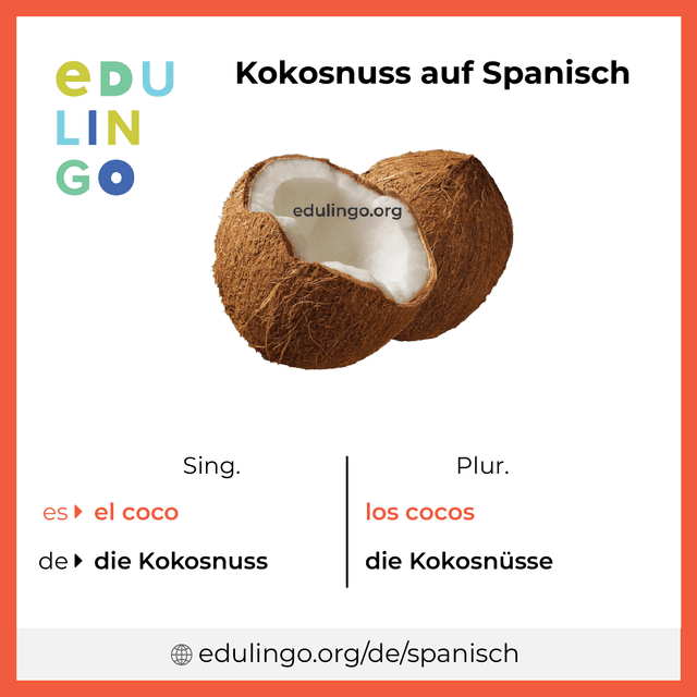 Kokosnuss auf Spanisch Vokabelbild mit Singular und Plural zum Herunterladen und Ausdrucken