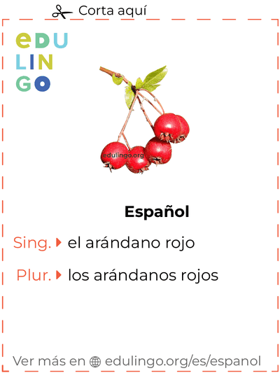 Ficha de Vocabulario Arándano rojo en español para imprimir, practicar y aprender